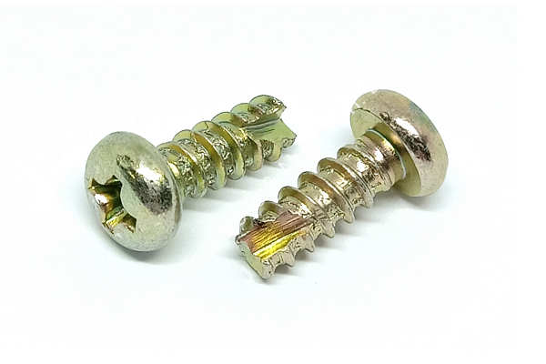 Pan Head Self Tapping Screw Type BT