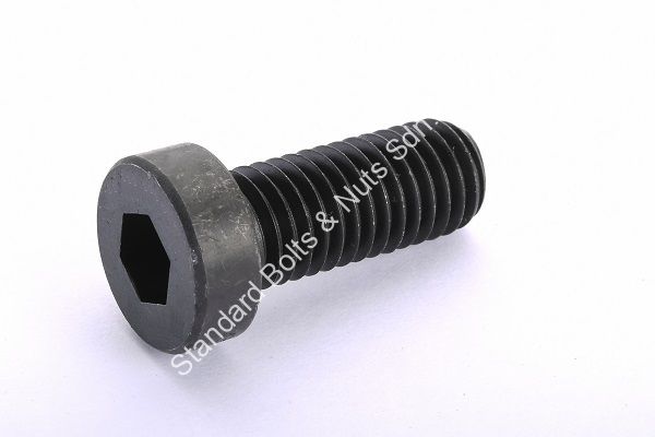 Socket Head Cap Screw Low Head Type Standard Bolts Nuts Sdn Bhd