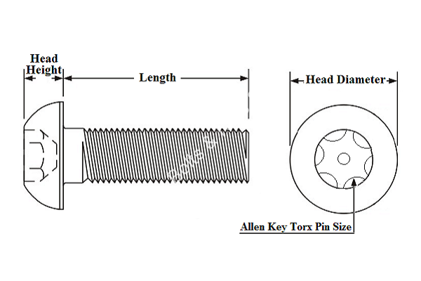 torx screw diagram