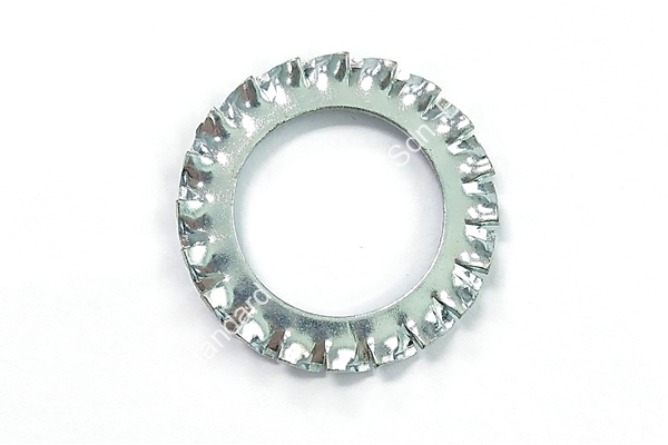 External Overlap Tooth Lock Washer