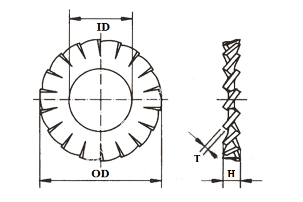 External Overlap Tooth Lock Washer - Image 2