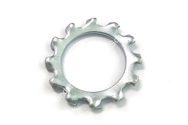 External Tooth Lock Washer