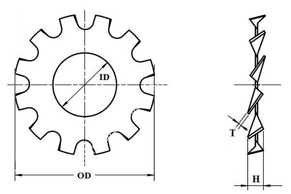 External Tooth Lock Washer - Image 2