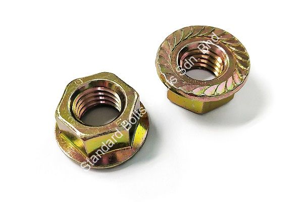 Hexagon Flange Nut