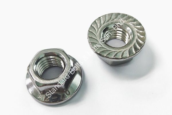 Hexagon Flange Nut - Image 3