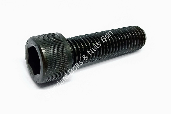 Socket Head Cap Screw (DIN912, Full Thread)