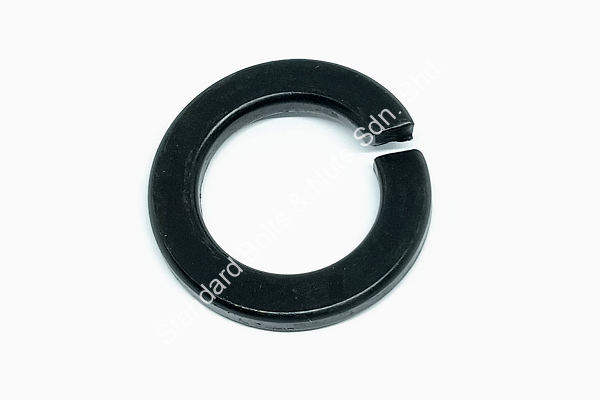 Spring Washer - Image 2