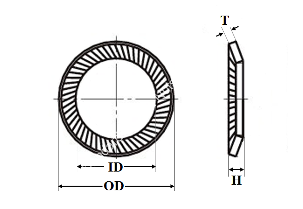 Ribbed Lock Washer - Image 2