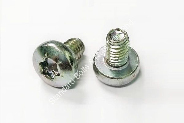 Pan Head Taptite Screw (Torx Head)